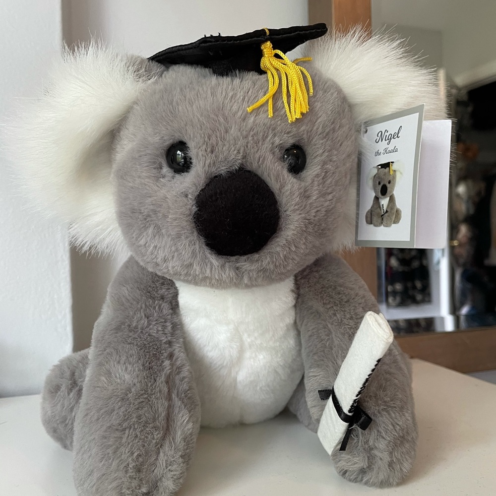 Brand New Koala with Graduation cap & diploma